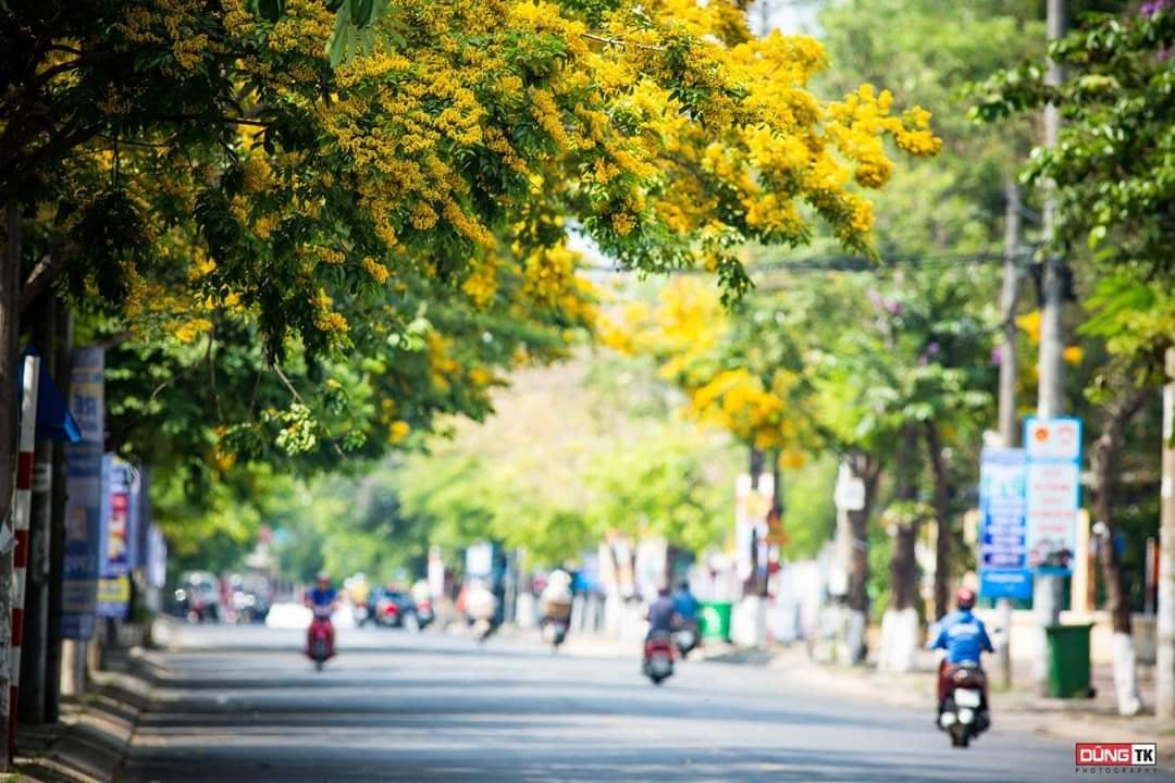 Tam Kỳ về đêm